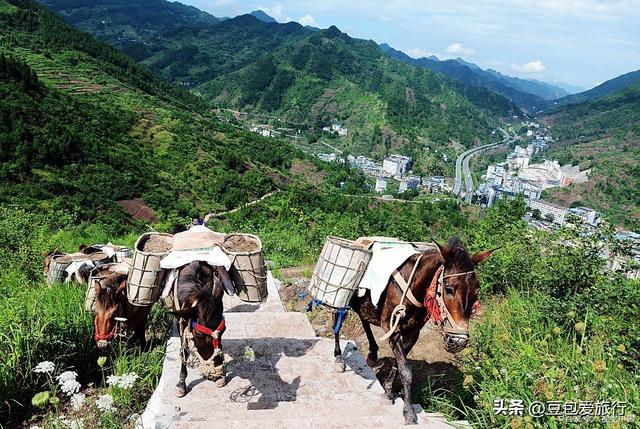 益阳漫游指南——竹海茶香与古巷时光，一场不赶路的湘中之旅