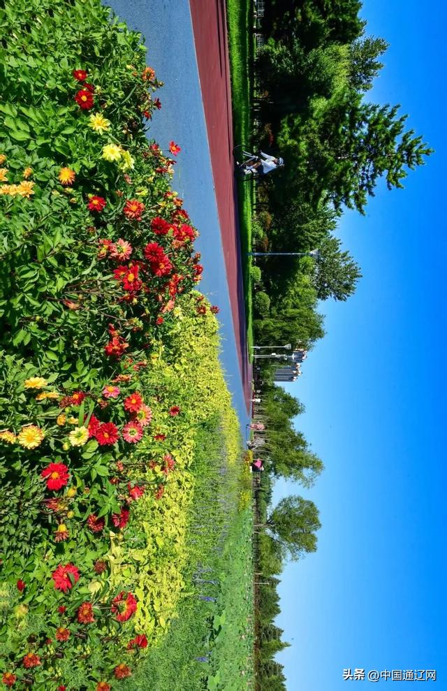 辽河公园 城市里的绿色客厅