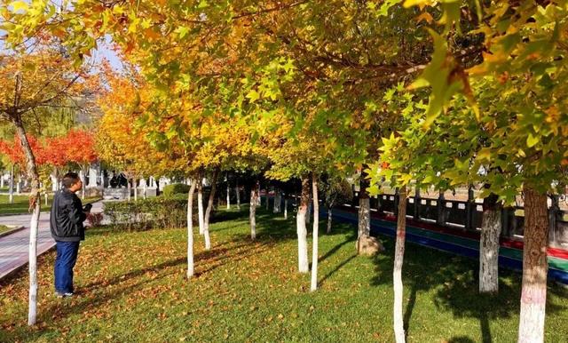 兰仓秋，染山河。