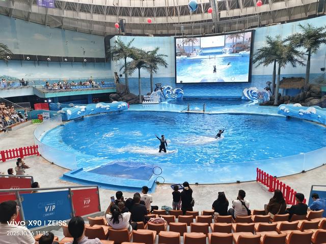 成都 极地海洋公园（58）2025年10月16日