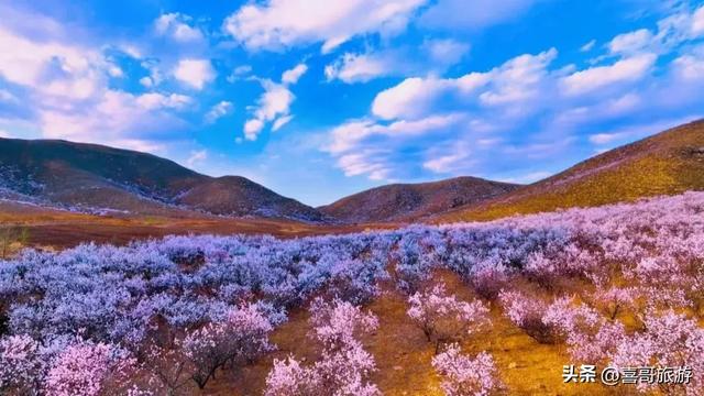 敖牛山行记：吉林西部之巅的四季画廊