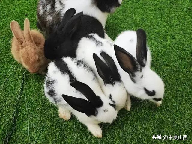到这里，门票可以顶钱用！