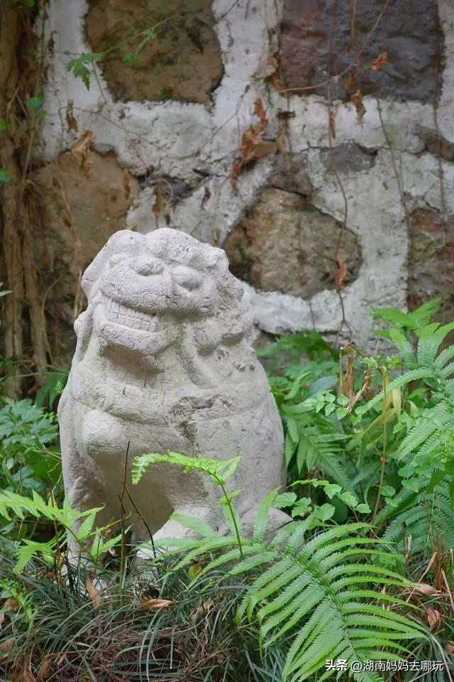 40℃高温？带娃躲进这两处深山秘境，把25℃的清凉和野趣全打包！