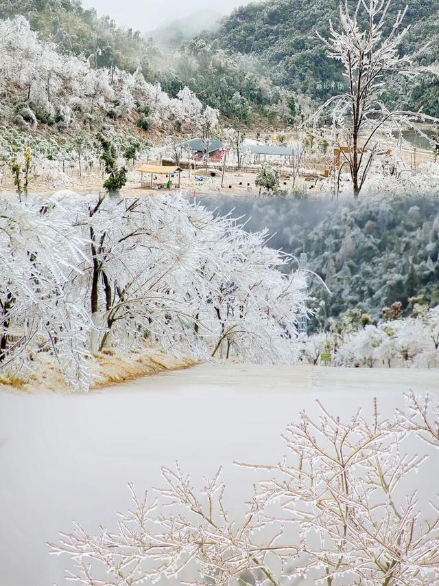 美如仙境！韶关这个地方迎来今年首场冰挂雾凇景观，秋冬来旅行，赏雪泡泉看红枫为你安排好了