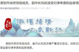 贵阳市政府党组成员、副市长刘岚接受审查调查图片