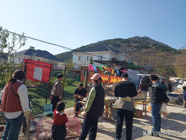 怒征西山公园，立在539.8米的顶峰