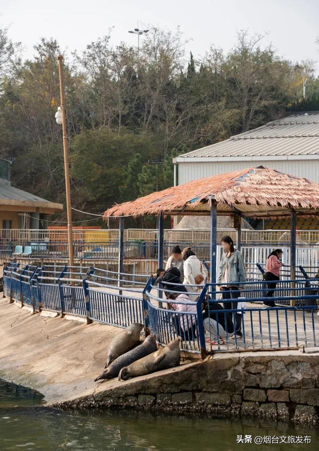 周末好去处丨人少免费！烟台小众公园美疯了