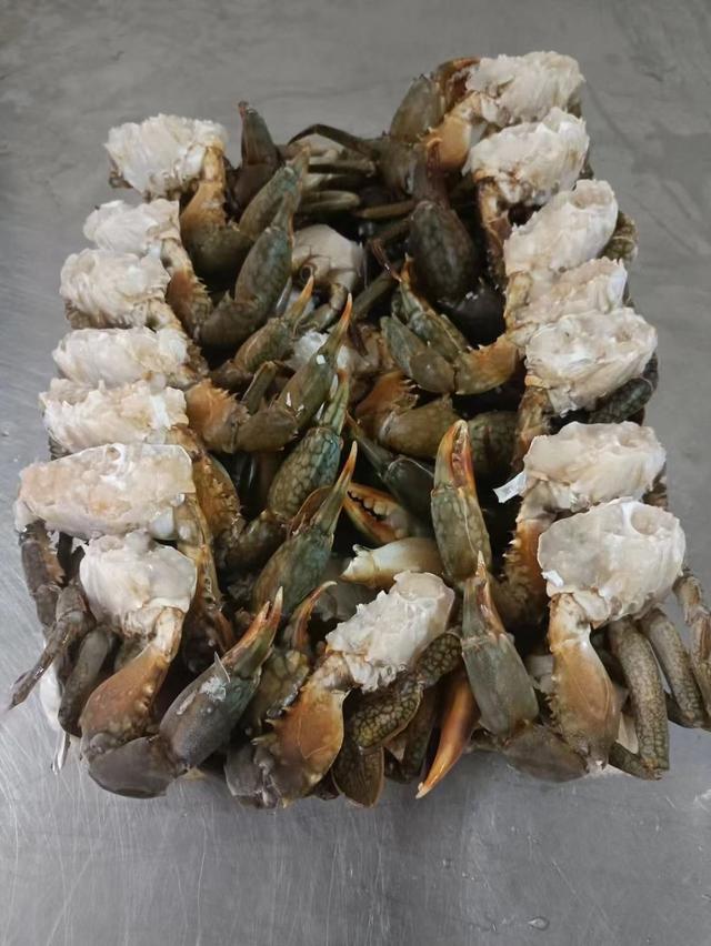 SEO快排代发2025推荐，助力网站快速排名提升