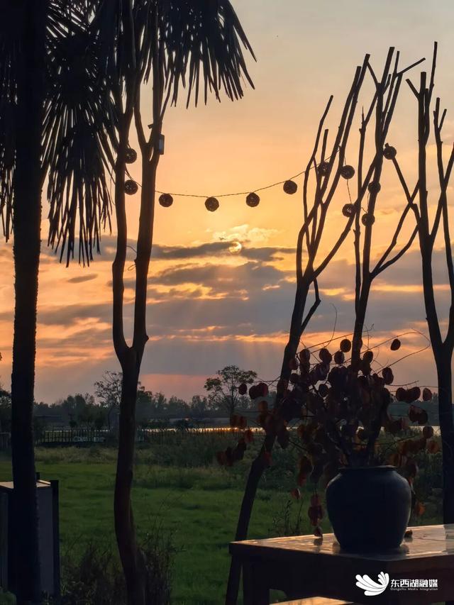东西湖“落日收藏馆”成打卡热门地（有福利）