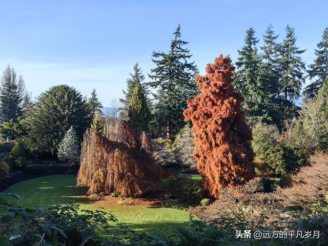 温哥华游记（六）