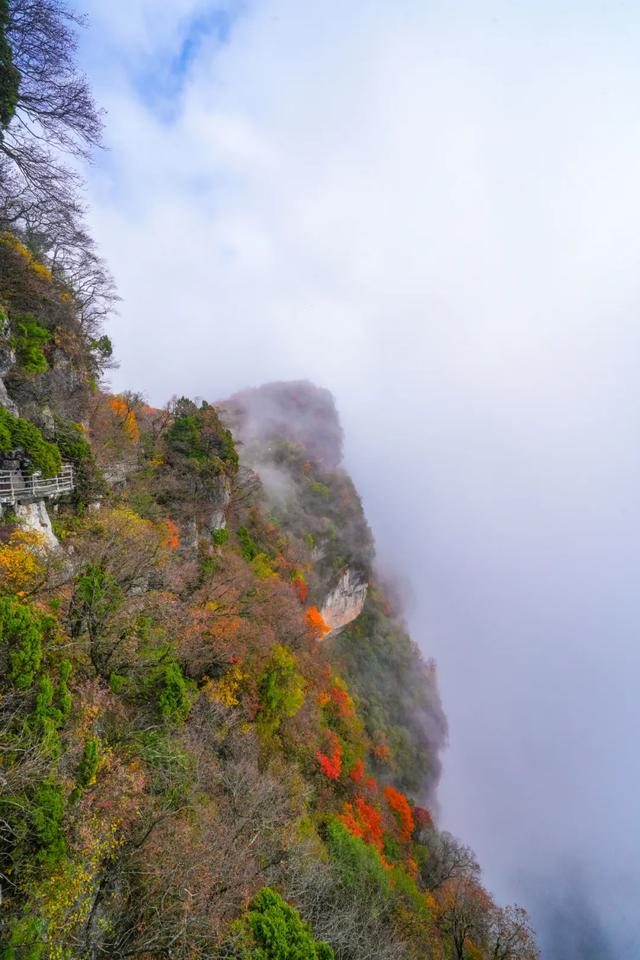 为什么说龙头山，是最不能错过的宝藏赏秋地？
