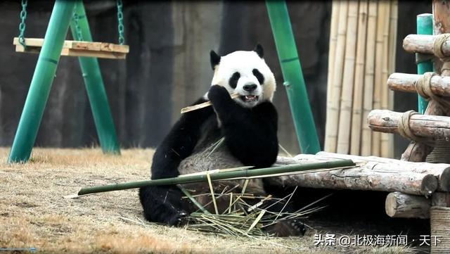 兰州野生动物园丨萌宠伴童趣，亲子科普基地