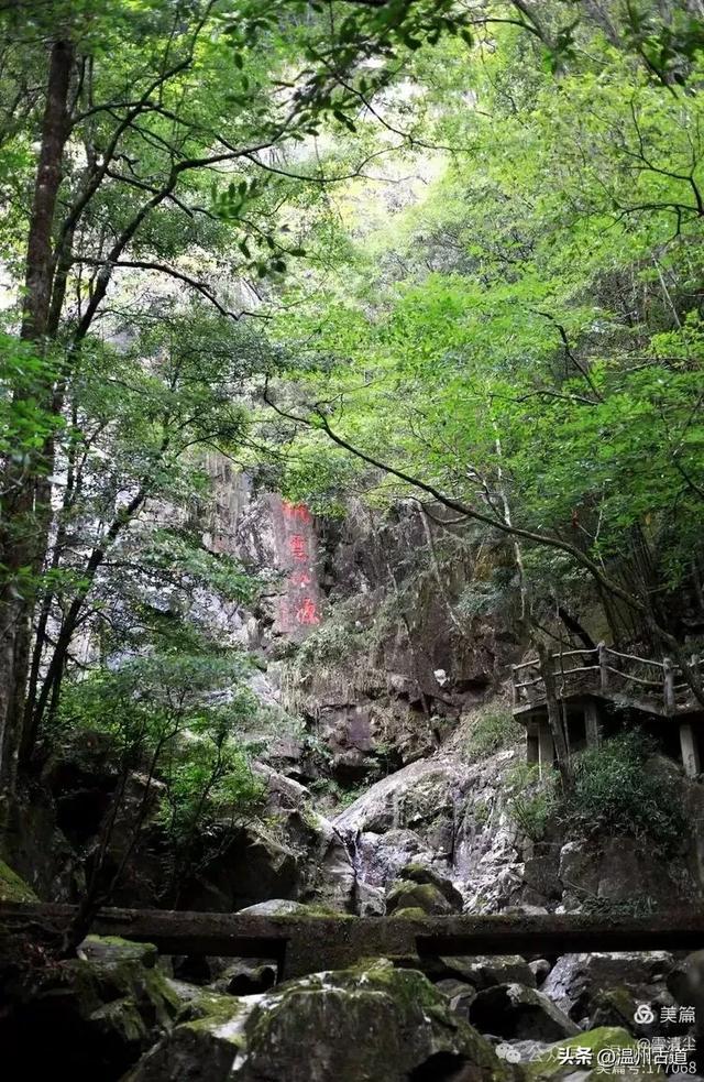 远上乌岩岭上斜,白云生处白云尖!温州这处秋日美景值得一去!