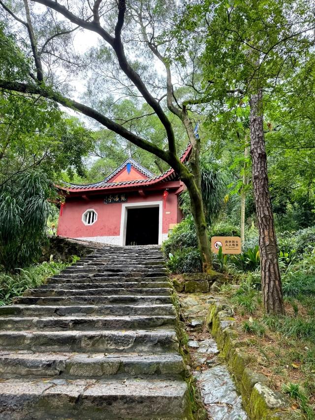 一个刚从福州回来的人警告：别轻易去，这座城会搞乱你的时间感