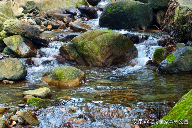 绿野仙踪+山水秘境！快来黑河抓住夏天的尾巴，奔赴一场绿意清凉之约