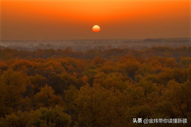刀郎部落景区入选2025年全国非遗进景区“五好”案例名单实至名归