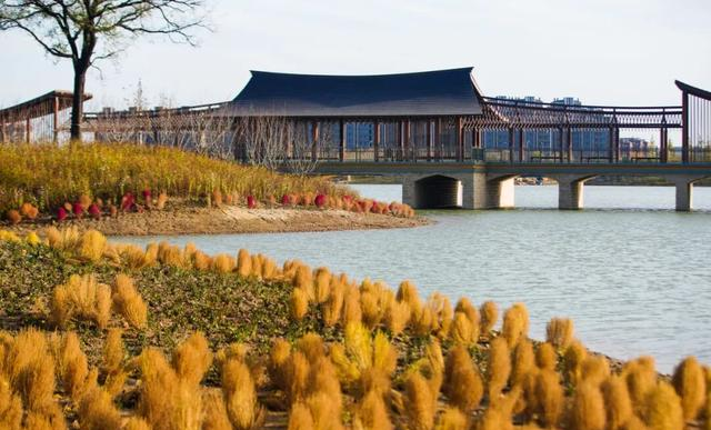 海淀“阿那亚”藏不住了！“白沙滩”成新晋热门打卡地