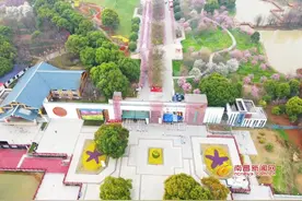 快去打卡！南昌县凤凰沟樱花盛开春意浓图片