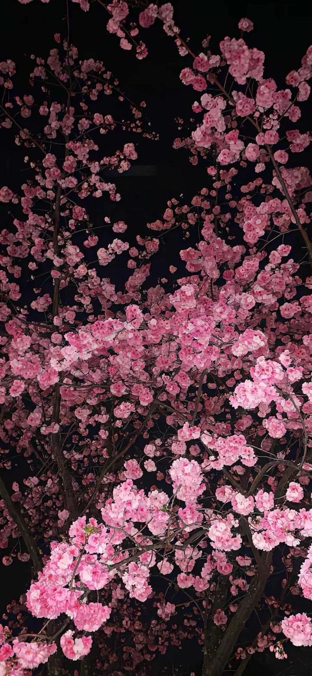 深色系手机壁纸5.02