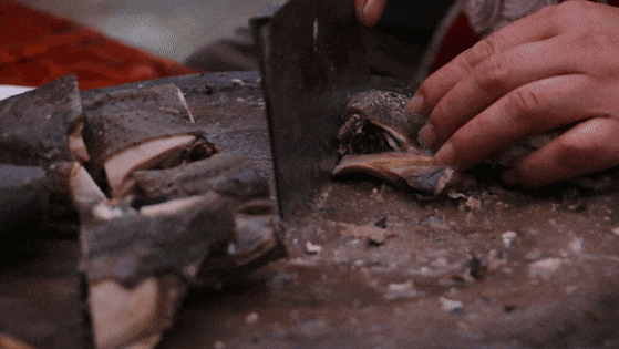 泸州泸县，值得专程为它来一趟！