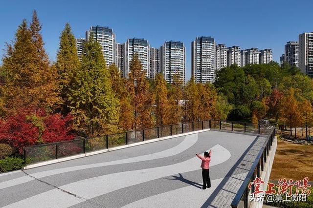 陆家新区中心公园“上线”限定暖色系