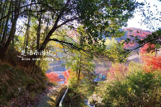 宁波这处秋色又到最美时刻，4条古道串联起近10个村庄，值得推荐