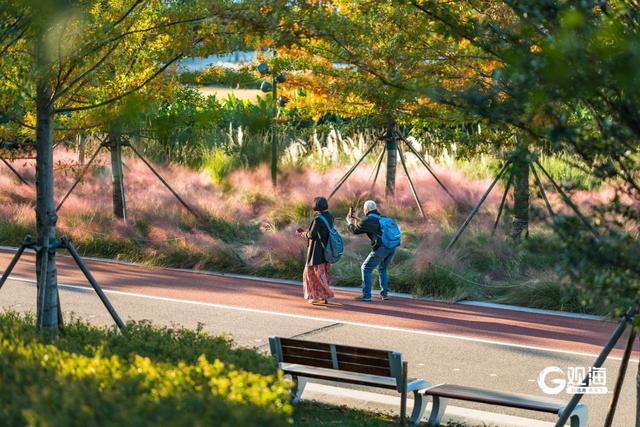 张村河生态绿廊成新晋宝藏休闲游玩地