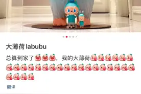 “108万天价LABUBU”早期收藏者发声：5年前花五位数购入，现在太疯狂了！图片