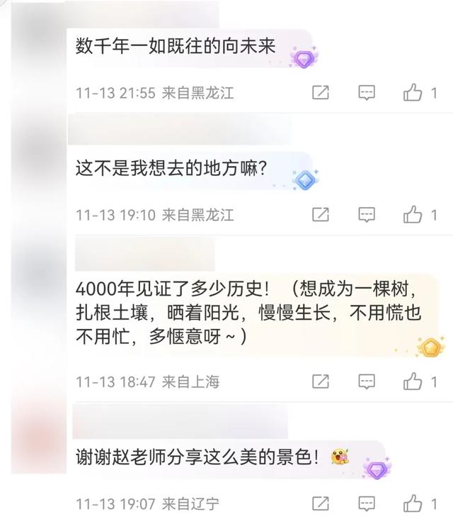 连发两篇!赵立坚推介日照这一美景:每一帧都是壁纸!