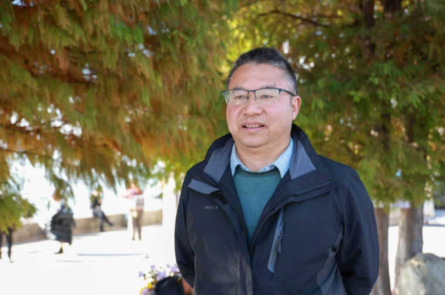 洱海水杉林：湿地生态和谐的“守护者”