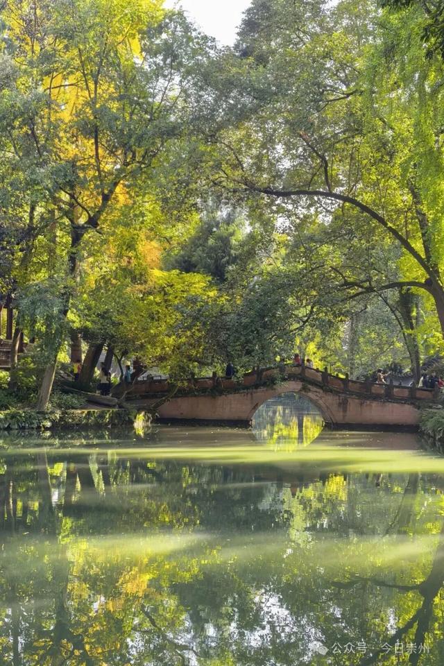 速来→崇州正上演初冬金色浪漫大片！