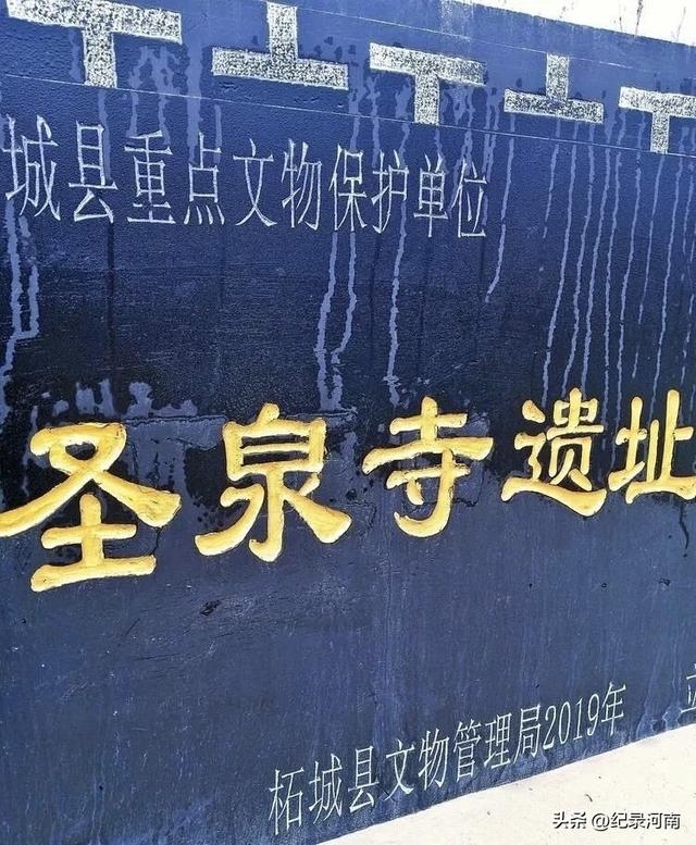 国庆节旅游黄金周足不出“柘”，邂逅秋日浪漫