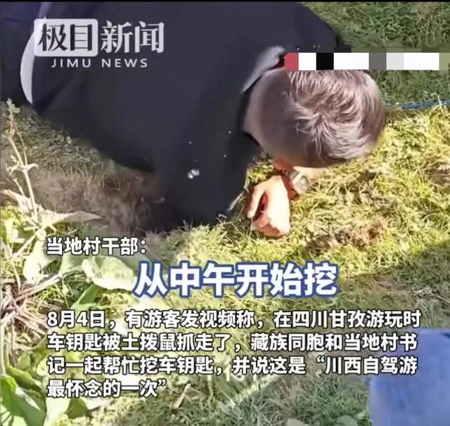 川西土拨鼠偷走游客车钥匙