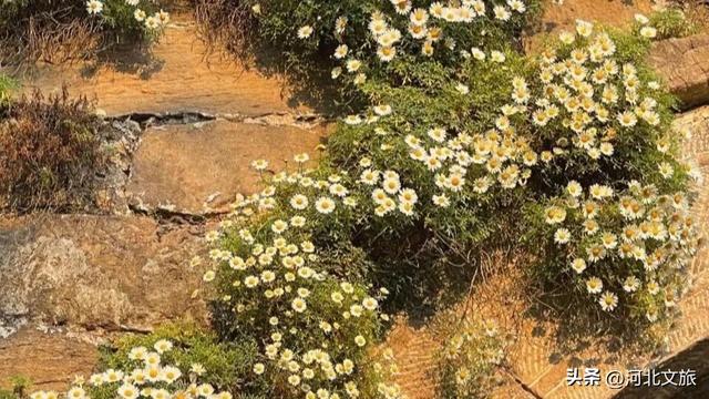 邯郸，你别太好逛了！