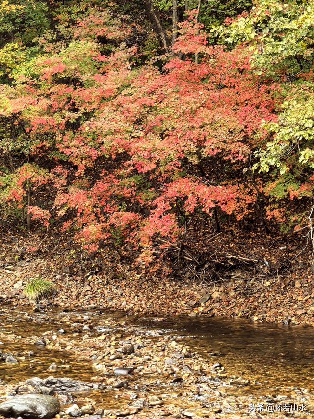 2025辽宁赏秋之旅日记(2)——游览丹东蒲石河森林公园