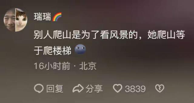 带导盲犬爬泰山的夫妻被网友批评，导盲犬芬迪看着非常累