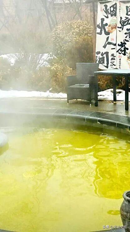 免费观看！零门槛邂逅衡水湖秋日极致浪漫