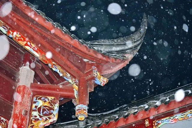 在雅安！！这么美的雪景我当然狠狠宣传啊啊啊！！