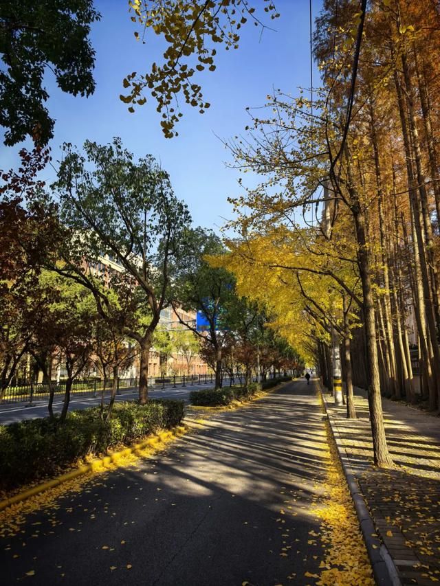 旅游的乐趣之一——结交更多的知己好友