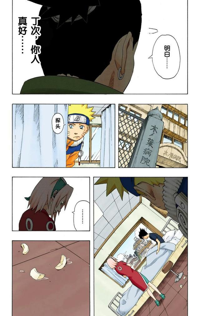 火影忍者彩漫 第二十卷 第五代火影纲手，鸣人佐助天台对决