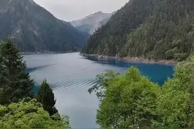 同城约会找搭子的社交软件图片