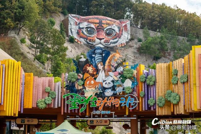 向“绿”而兴 激活高质量发展“绿色引擎” 蔡甸区加快建设人与自然和谐共生的美丽之城