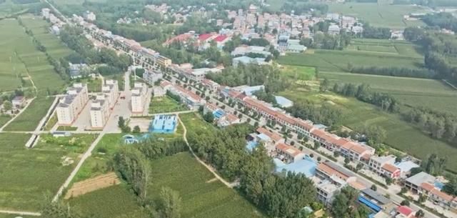 魅力曹县楼庄镇