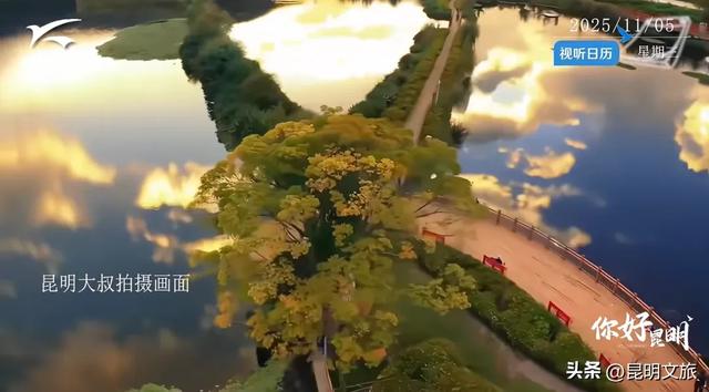 全屏“封神”！这可是昆明初冬的超绝顶流！保姆级攻略来袭，趁天晴立马冲！