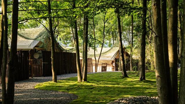 南川金佛山178喊你过年啦！刨猪汤+乡村运动会，快乐值拉满