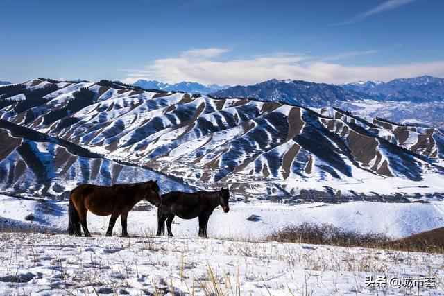 解锁冬日浪漫！乌鲁木齐这十条线路，解锁冰与火的雪域浪漫