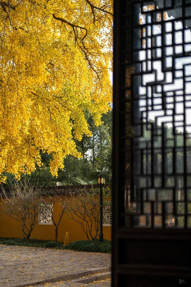 从百年古刹到水上森林：解锁上方山秋冬宝藏打卡地