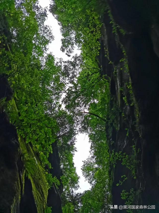 西安2h直达!钻进20℃的“天然空调房”,超全纳凉自驾攻略来了!