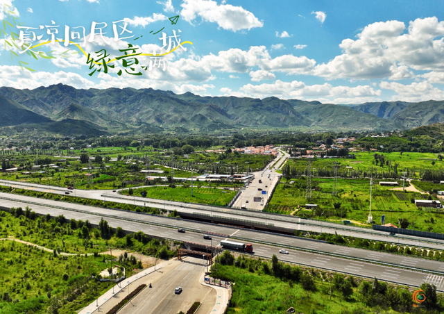 呼和浩特市回民区的夏天，是“植”得N刷的绿！