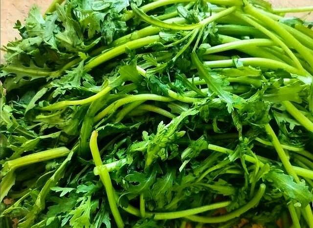 秋分后，遇到这菜别手软，用来包饺子，鲜嫩入味，老人孩子都爱吃